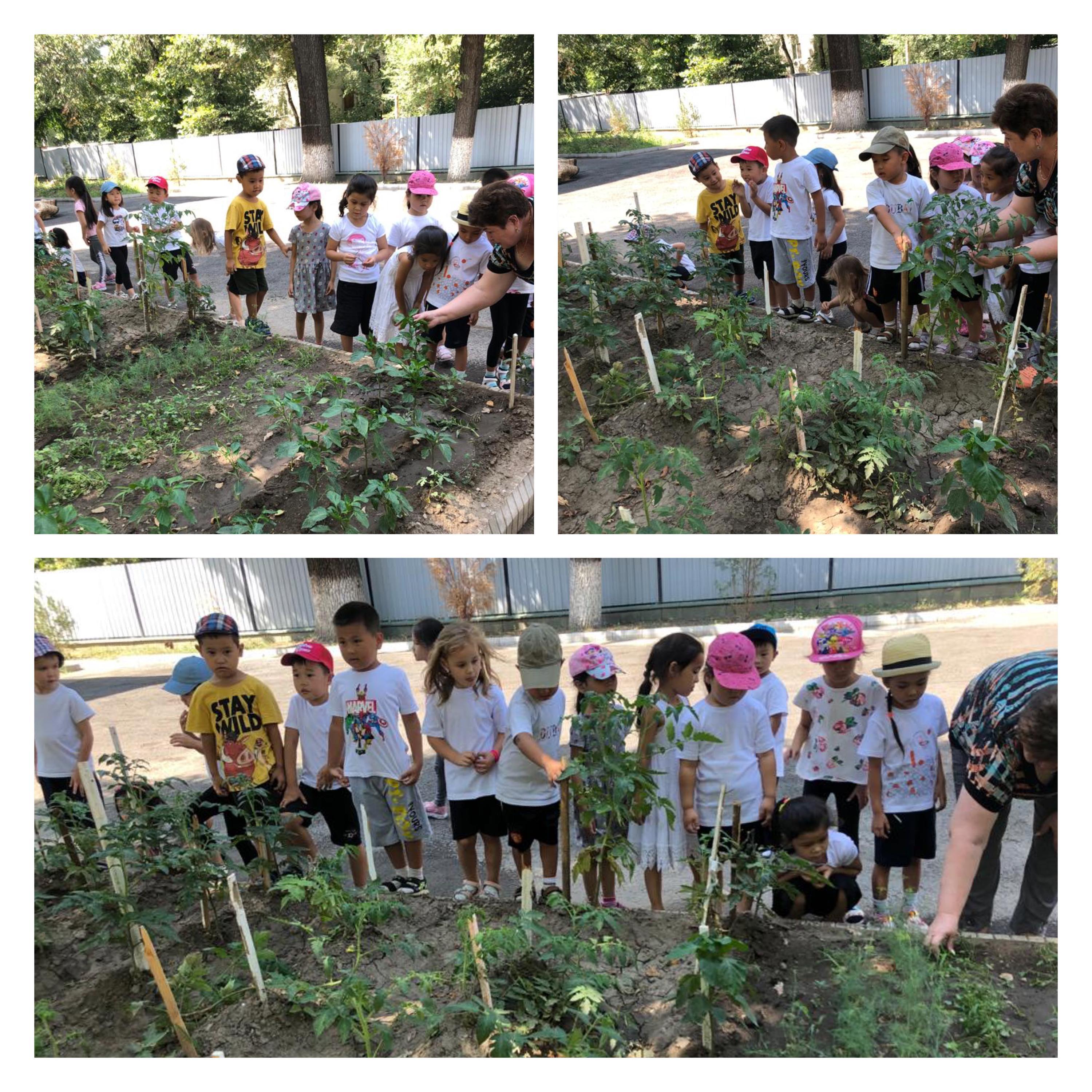 Гүлдер тобы "Ғажайып бау-бақшада"!