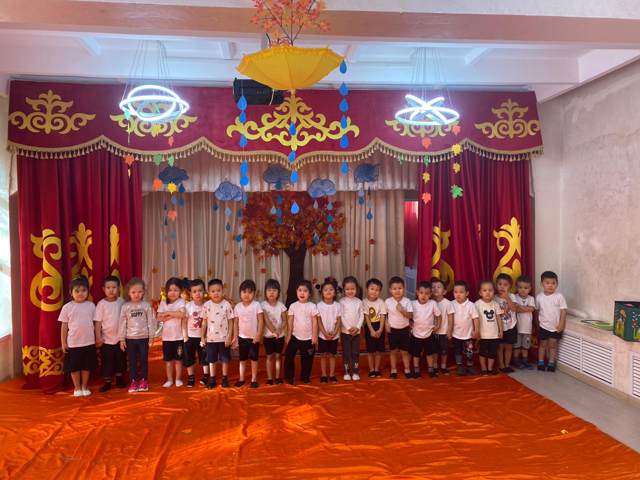 Денешынықтыру ұйымдастырылған іс-әрекеті